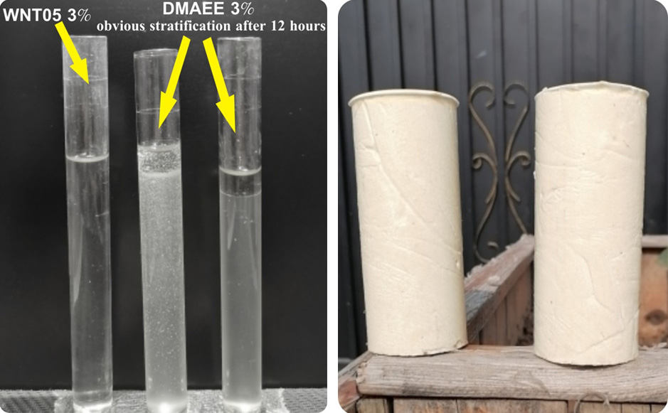 Inorganic Material for Leaking Stoppage and Structural Reinforcement