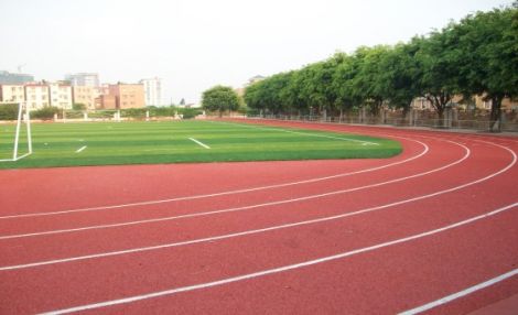 Plastic Cement and Rubber Runway